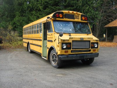 school_bus_1.jpg